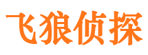 日土侦探